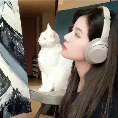 法兰西