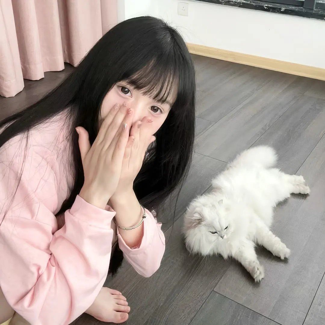 血染淑女